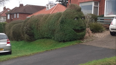 Mr Hedge